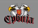 Srbija_-_orao_2.jpg
